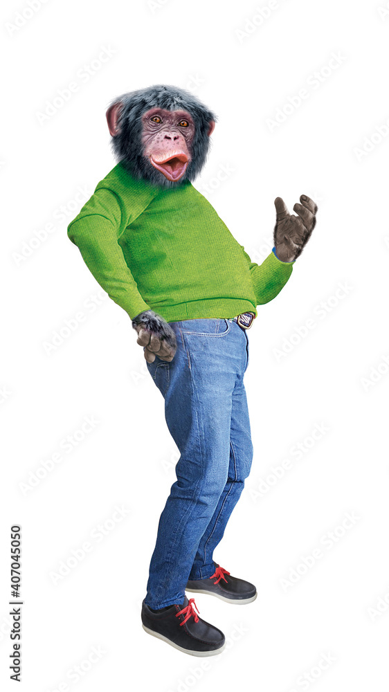 chimpanzé, singe, déguisé, en homme, , drôle , , blanc, jeune, portrait, armée, gens, garçon, gars, personne, pul, rouge, jaune, bleu, jaune, debout, uniforme, camouflage, mode, main, jean, content, chimpanzé, singe, déguisé, en homme, , drôle , , blanc, jeune, portrait, armée, gens, garçon, gars, personne, pul, rouge, jaune, bleu, jaune, debout, uniforme, camouflage, mode, main, jean, content,