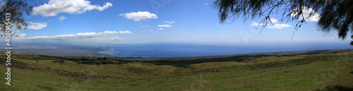 Hawaii Coast Panorama