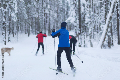 Cross country ski. Skiing in winter on the track.