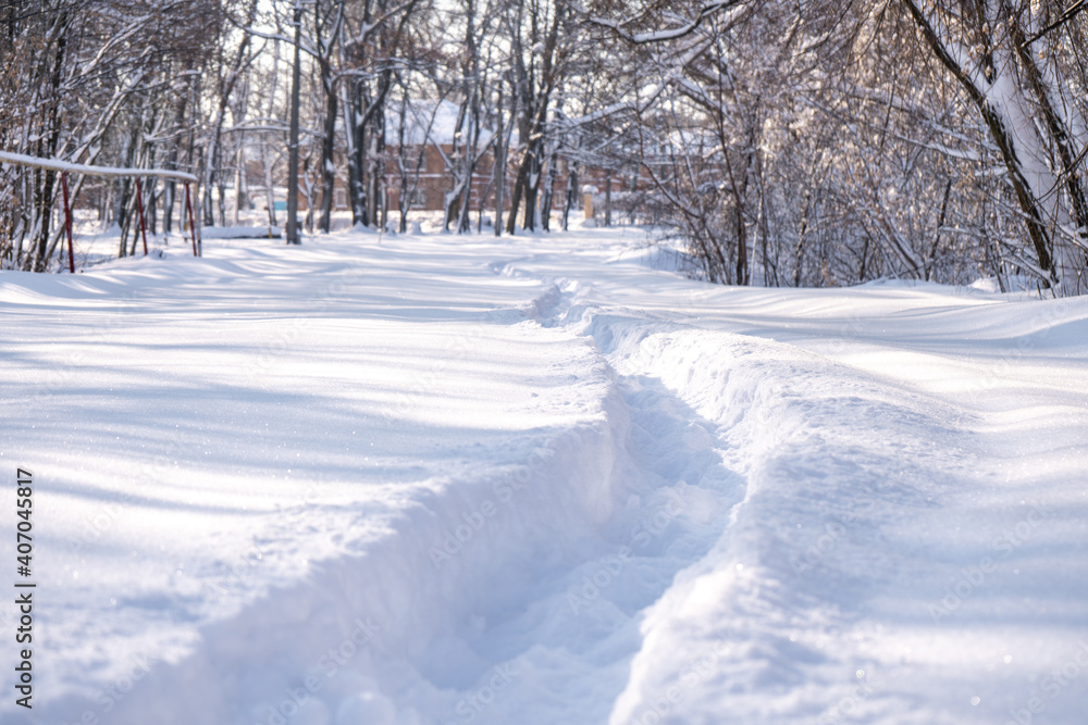 Snowdrifts path in the forest after massive snow storm