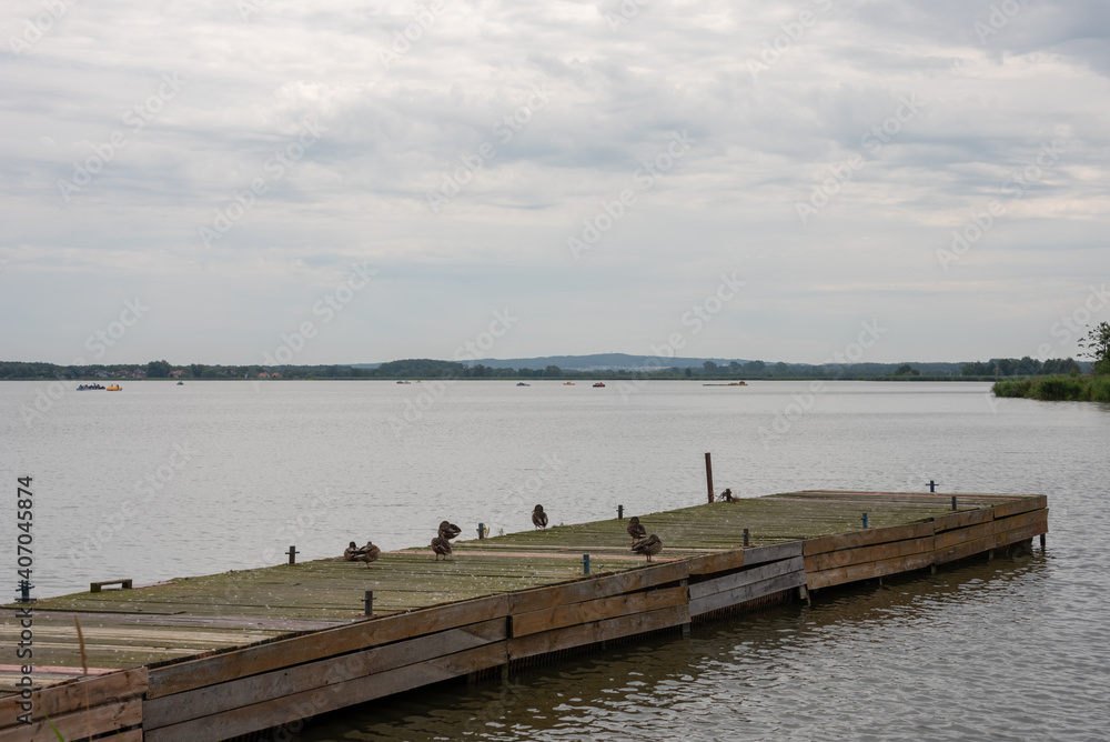 Ducks on old wooden pier under cloudy sky. Lake Jamno, Mielno, Poland. Selective focus. 