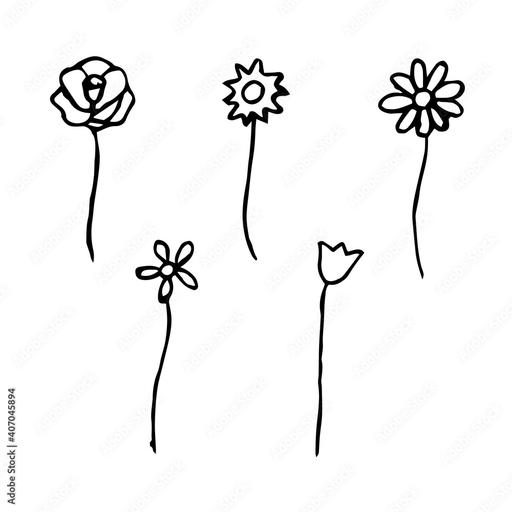Fototapeta Set of different flowers, vector doodle illustration