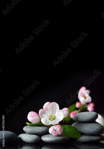 Spa stones and pink flowers on black background.