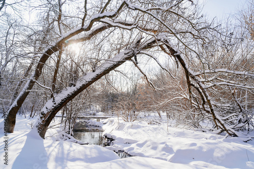 Winter Park in the afternoon. the stream is not frozen, the trees and the ground are covered with snow. walks in nature in the cold. Winter's tale.