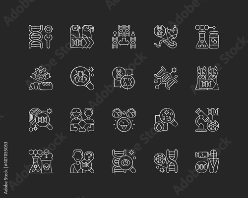 Genetic engineering chalk white icons set on black background. Chromosome division. Animal mutation. Medical, industrial biotechnology. Cloning. Isolated vector chalkboard illustrations
