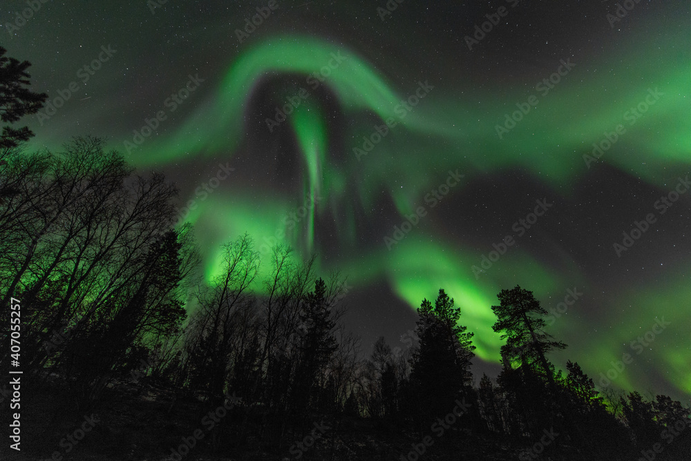 Aurora over the forrest Aurora over the forrest