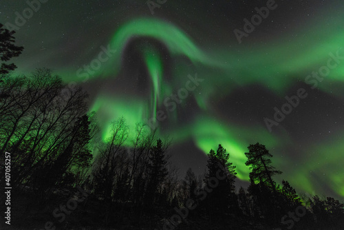 Obraz na płótnie Aurora over the forrest