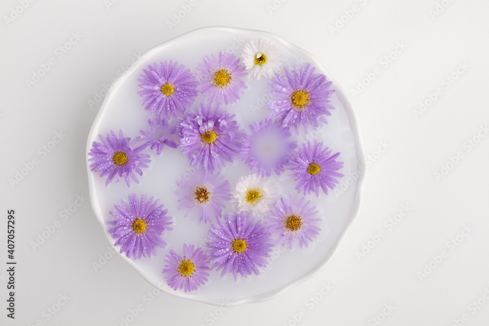 Aster flowers in a white bowl with milk on white background. Top view Aster flowers in a white bowl with milk on white background. Top view