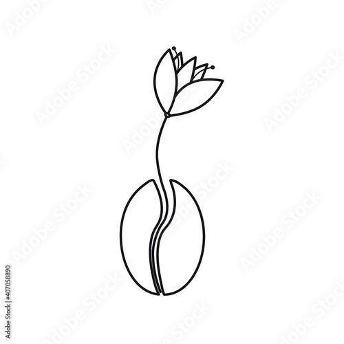 Coffee bean with flower vector outline minimalistic illustration for logo on white background