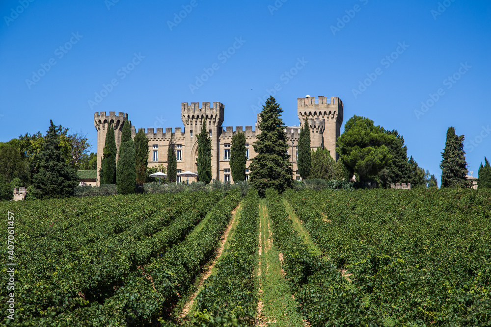 Castle and vineyard in France