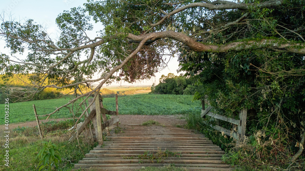 Charming and small rural bridge made of wood with a tree forming a beautiful arch over it.