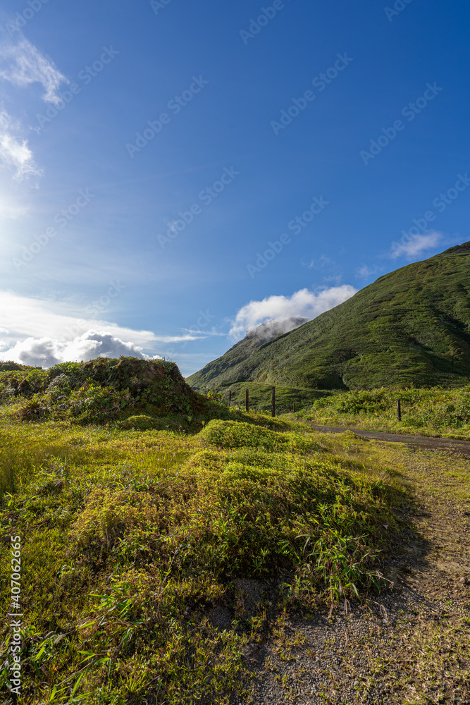 Vertical photo of green mountains from Guadeloupe Island.