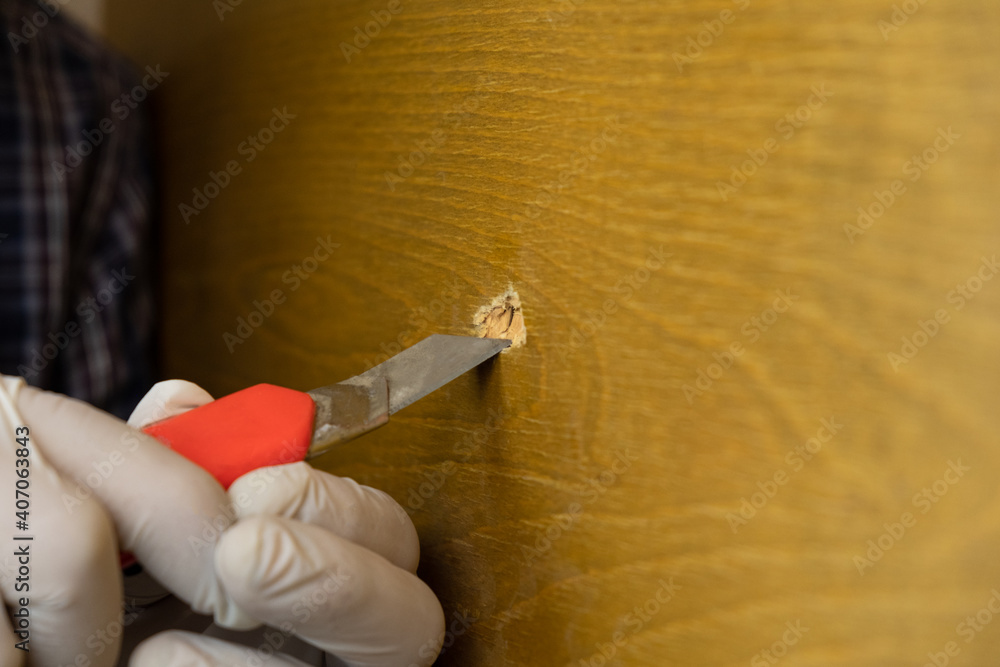 restoration of wood surfaces,sealing chips, scratches and defects close-up