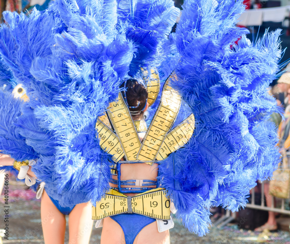 Dancers wearing colorful feathers costumes gathered for a parade. Back