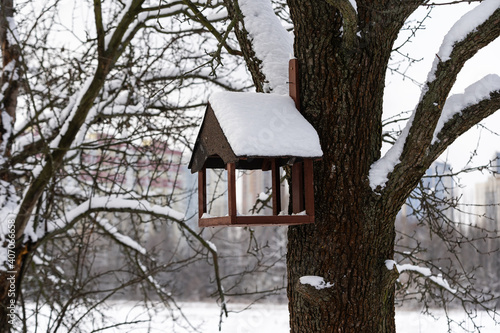 bird feeder winter on a tree © Angelov