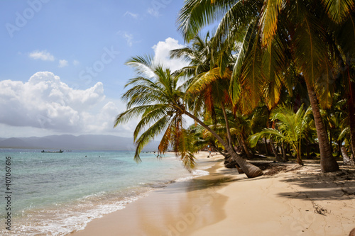 Fototapeta Naklejka Na Ścianę i Meble -  palm tree on the beach of San Blas islands, Panama