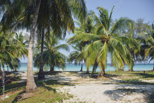 beach with palm trees on San Blas islands  Panama