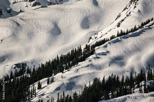 Snowy Hillside