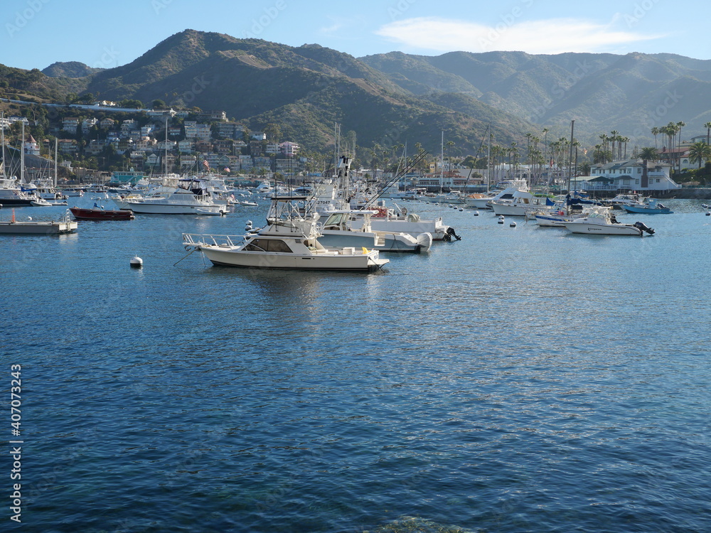 boats in Catalina island