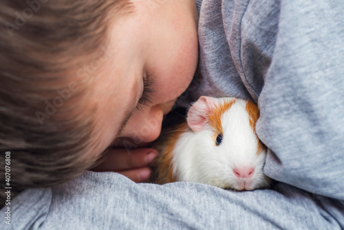 A boy with his guinea pig. A boy hugs a guinea pig. A child plays with the pet at home. Pet care