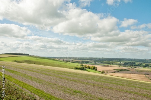 Wiltshire countryside in the summertime.