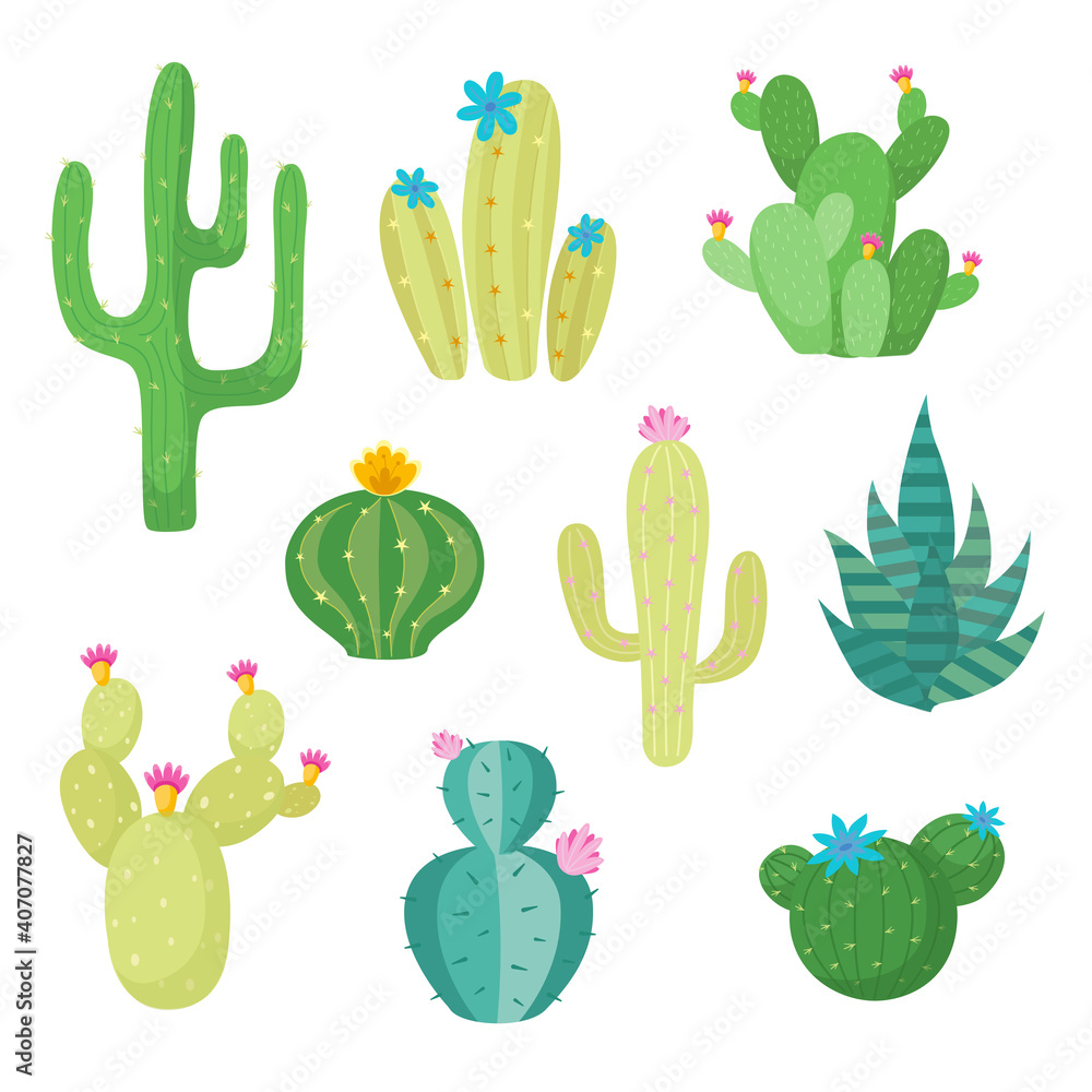 Cactus flat style Vector illustration on white Cactus flat style Vector illustration on white