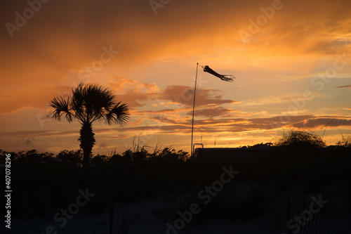 silhouette of a palm and windsock at sunset