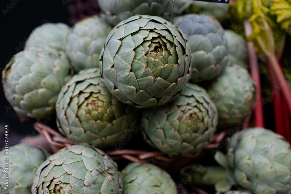 Green Globe Artichoke Green Globe Artichoke