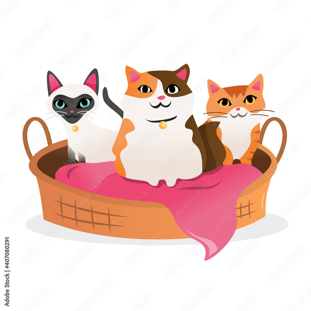 Cartoon Three Cats in Pet Bed Stock Vector | Adobe Stock