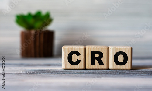 CRO - word on wooden cubes against the background of a light board with beautiful divorces and a cactus