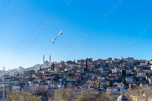 Kahramanmaras city skyline and mosque with man pigeons photo