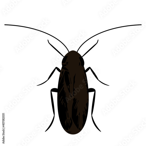 silhouette of a black cockroach. icon in flat style isolated