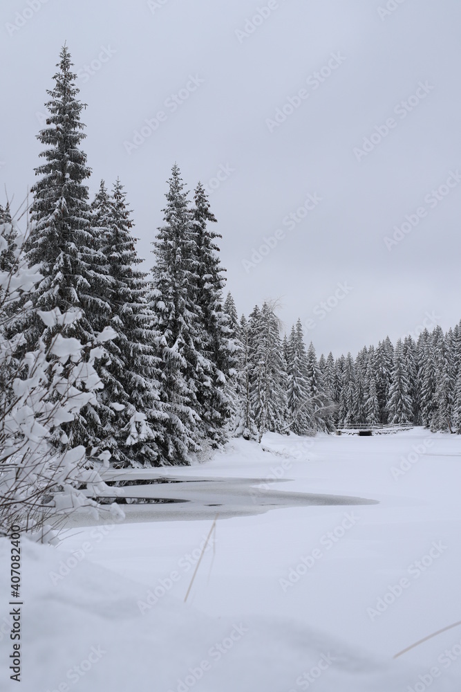 winter lake in in forest