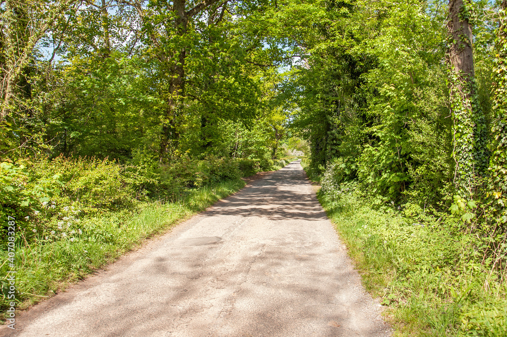 Fototapeta premium path in the park