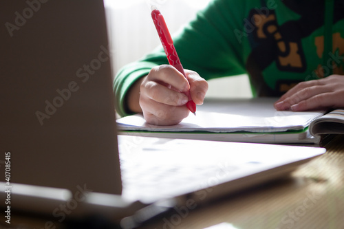 boy doing homework at home, in front of a computer
