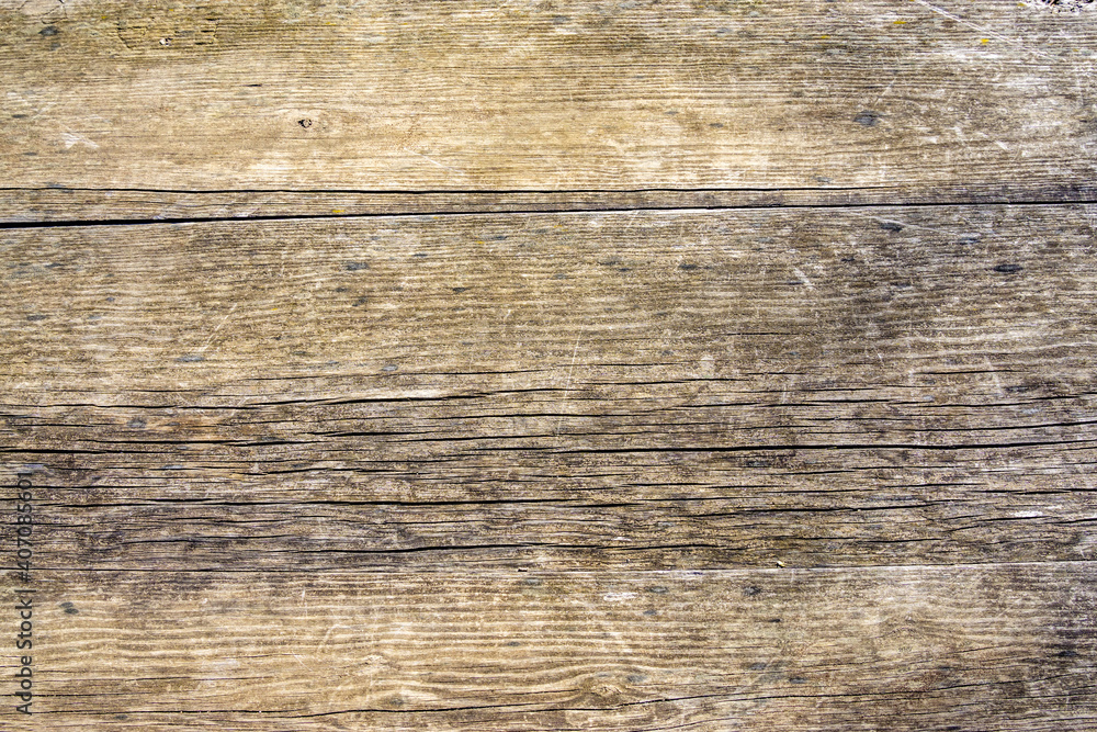 Naklejka premium Old wood texture for the design background.