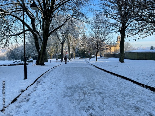 Snow scene in  Lister Park  with old trees  and a blue sky in  Bradford  Yorkshire  UK