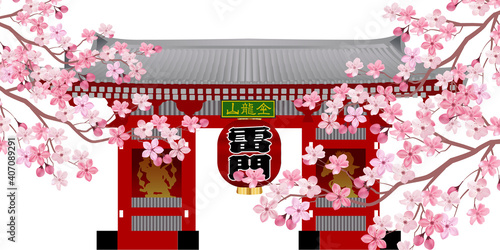 東京　雷門　桜　背景