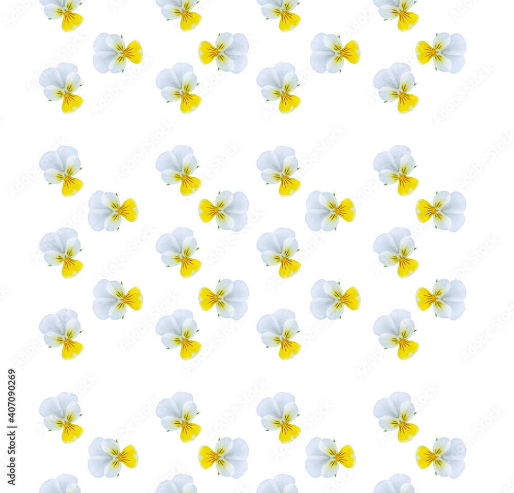 forest violet flowers patern on white background forest violet flowers patern on white background