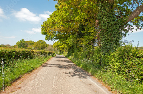 road in the park