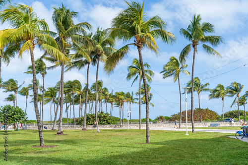 Beautiful Lummus Park in South Beach Miami.