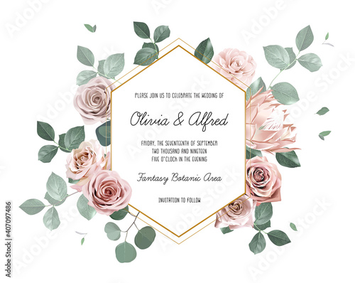 Eucalyptus and pale roses, protea, camellia vector design invitation frame