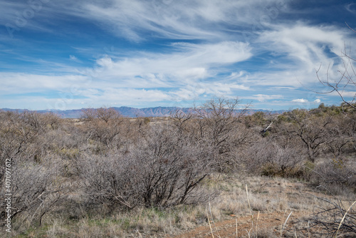 Oracle State Park