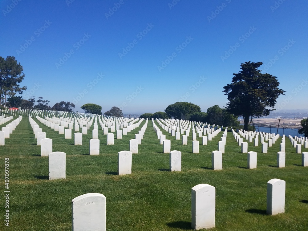 rows of tombstones in a military cemetery
