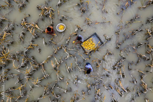 Aerial view of flood water has damaged crops and thousands of people have been waterlogged in Sariakandi, Bogura, Bangladesh.