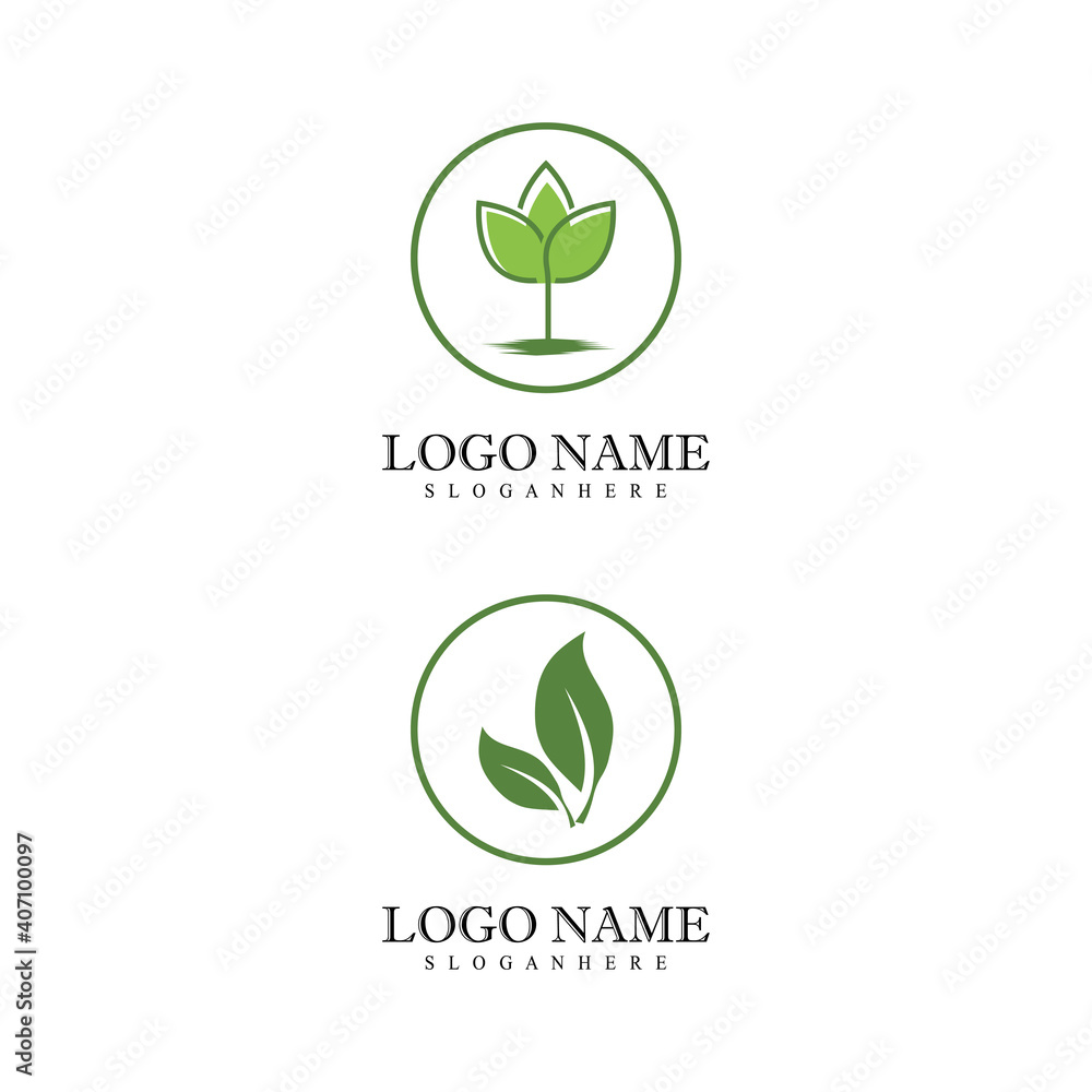 Fototapeta premium Mint leaves flat vector color icon template