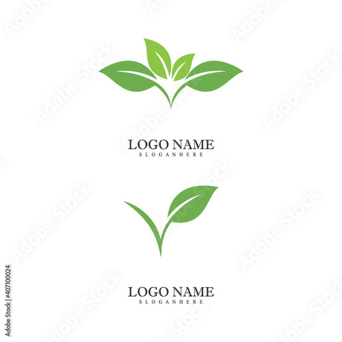 Mint leaves flat vector color icon template