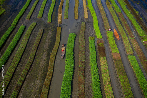 Aerial view of traditional floating garden and farmers cultivate up to 300 types of vegetable, navigating the channels between them by boat in Pirojpur, Barisal, Bangladesh. photo