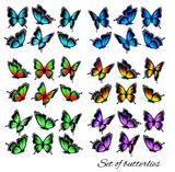 Set of butterflies, flying in different directions. Butterfle silhouette. Vector.