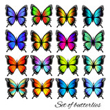 Colorful butterflies set. Butterfle silhouette. Vector illustration.